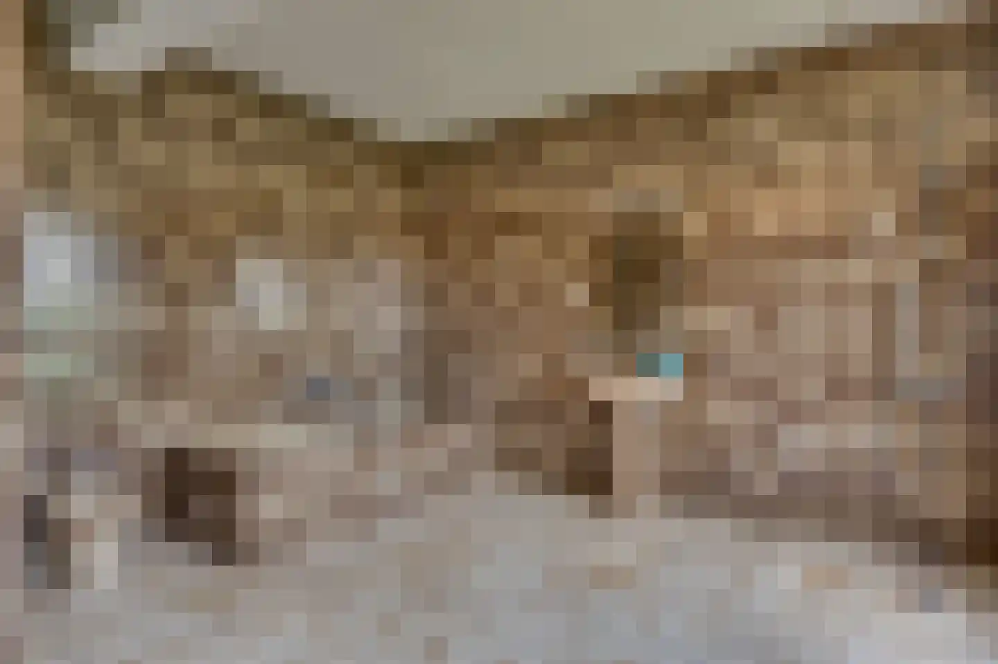 Niesstraat 3 Ell thumbnail 38