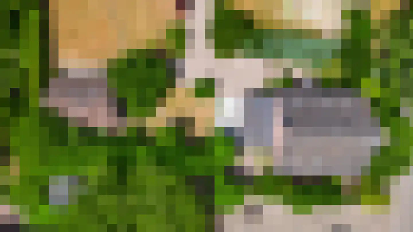Niesstraat 3 Ell thumbnail 48