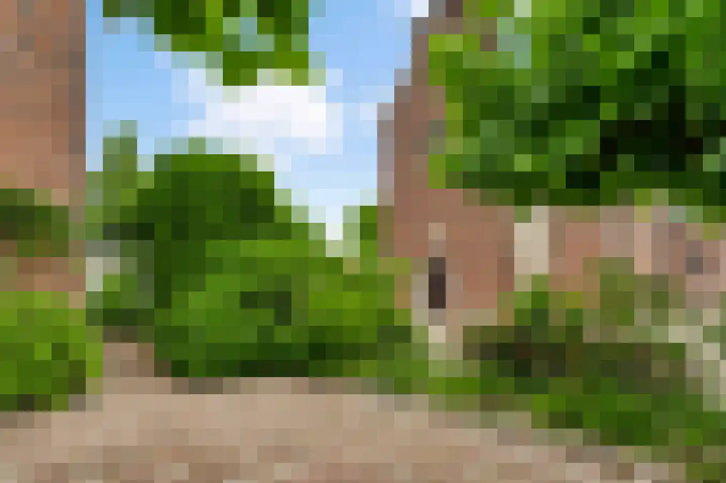 Niesstraat 3 Ell thumbnail 51