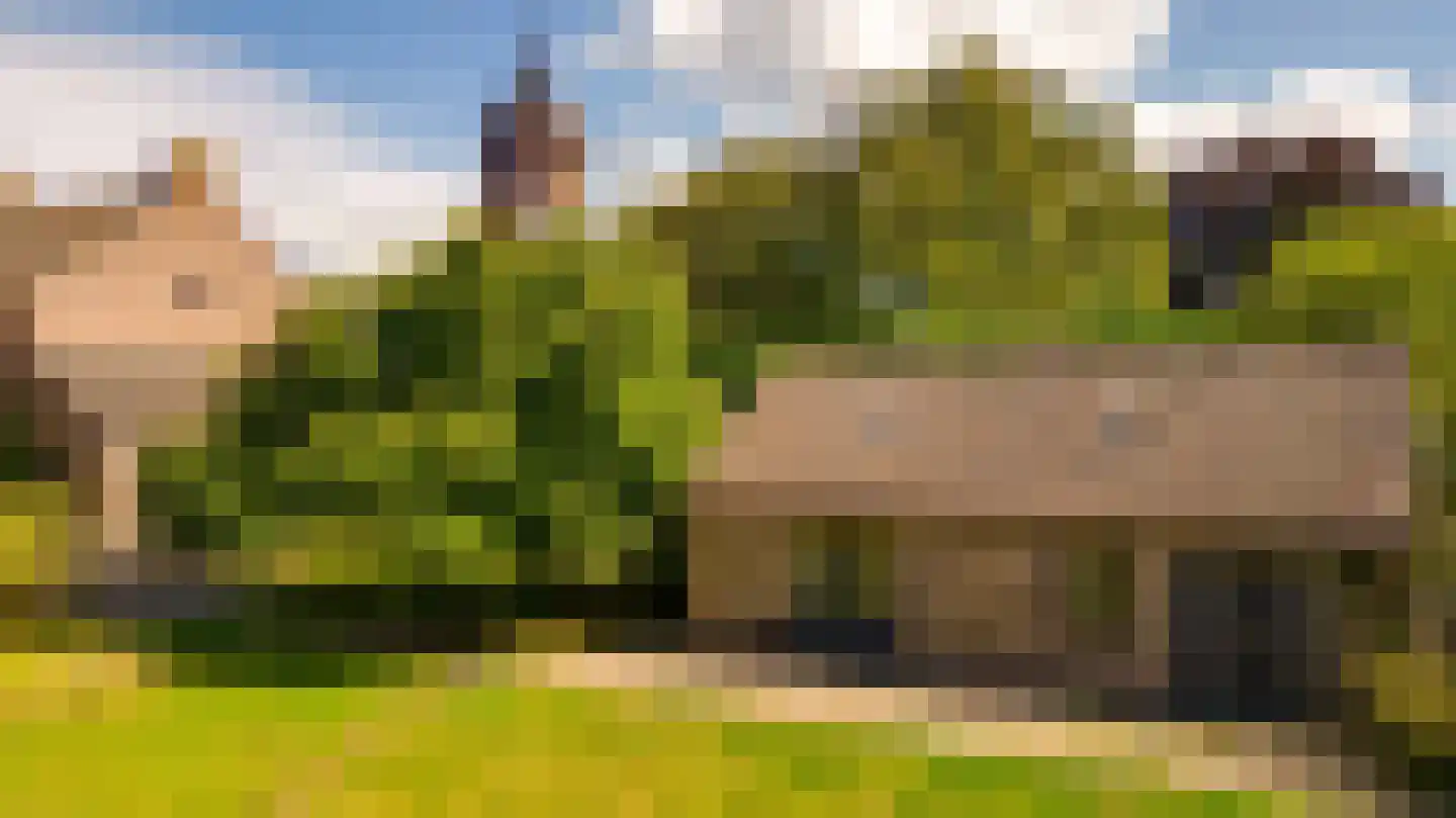 Niesstraat 3 Ell thumbnail 55