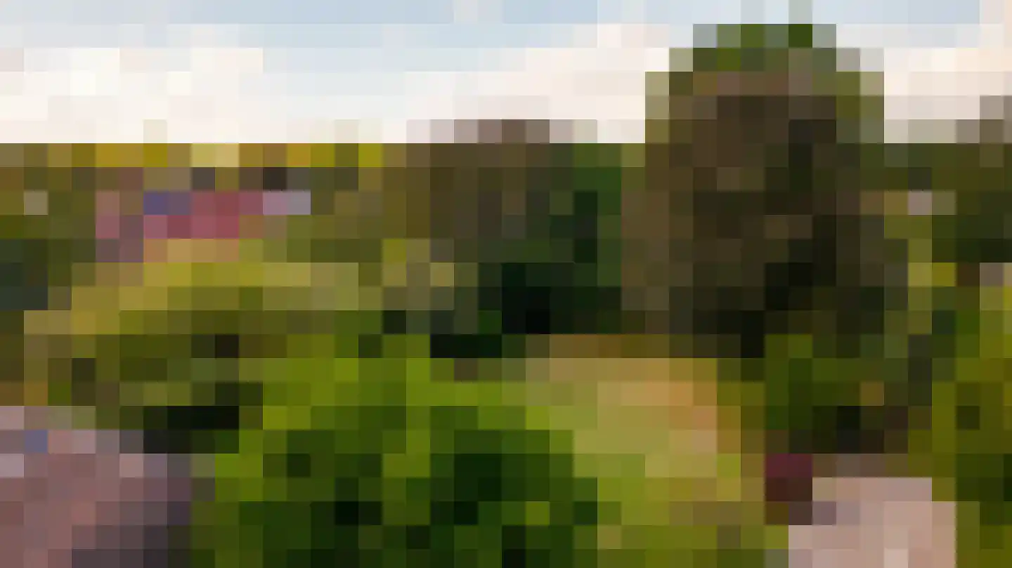 Niesstraat 3 Ell thumbnail 59