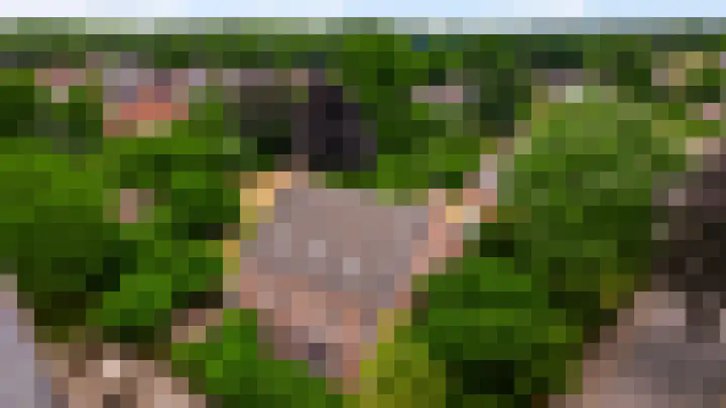 Niesstraat 3 Ell thumbnail 61