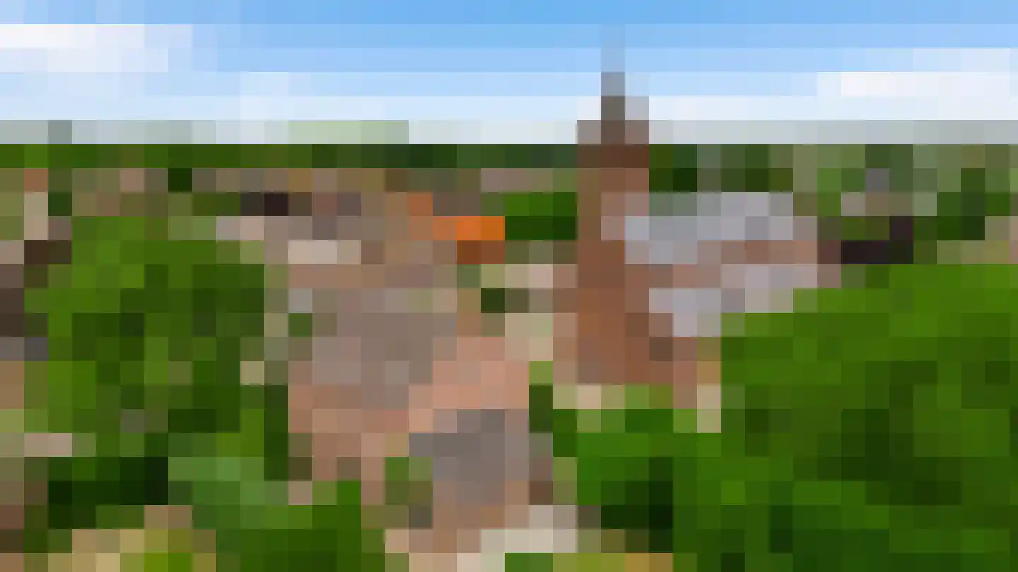 Niesstraat 3 Ell thumbnail 62