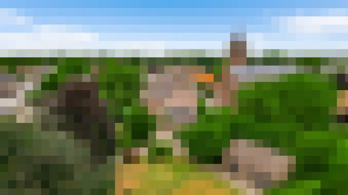 Niesstraat 3 Ell thumbnail 63