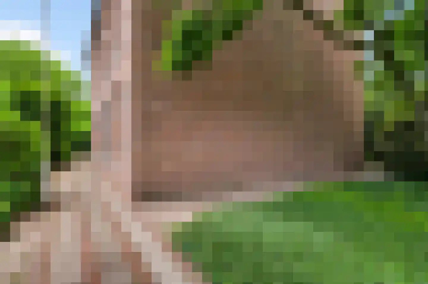 Niesstraat 3 Ell thumbnail 7