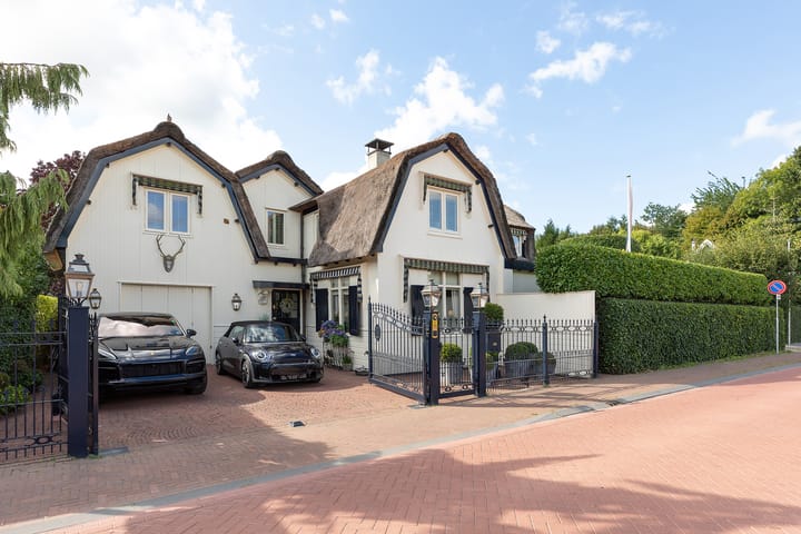 Nieuw-Loosdrechtsedijk 219 in Loosdrecht foto