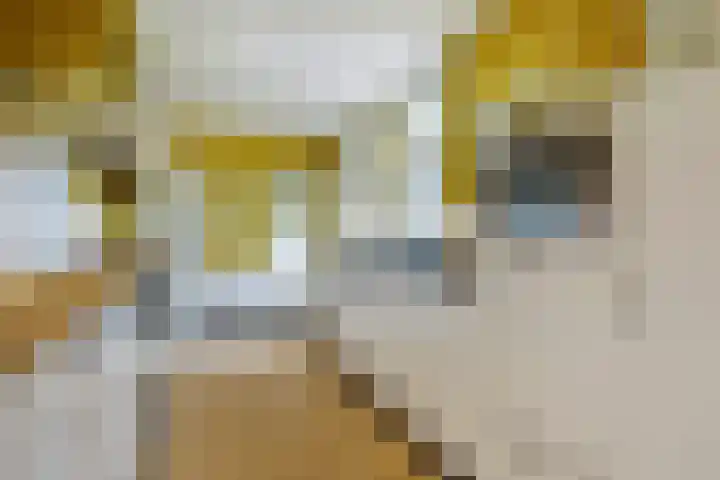 Nieuwe Brouwerstraat 10 Oss thumbnail 16