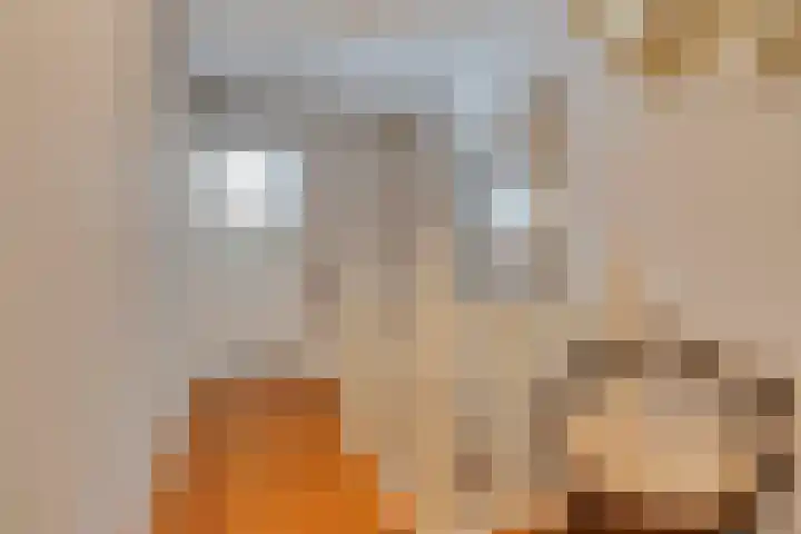 Nieuwe Brouwerstraat 10 Oss thumbnail 20