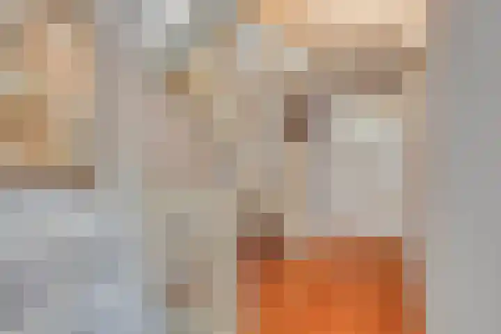 Nieuwe Brouwerstraat 10 Oss thumbnail 21