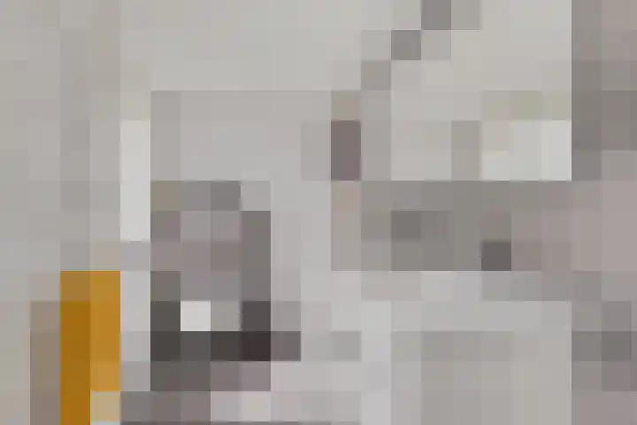 Nieuwe Brouwerstraat 10 Oss thumbnail 28