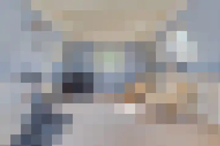 Nieuwe Brouwerstraat 10 Oss thumbnail 30