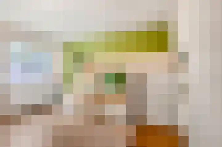 Nieuwe Brouwerstraat 11 Oss thumbnail 22