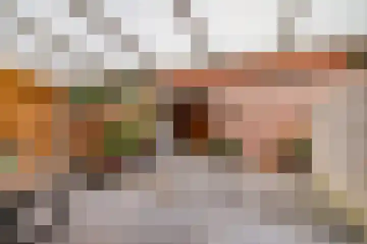 Nieuwe Brouwerstraat 11 Oss thumbnail 32