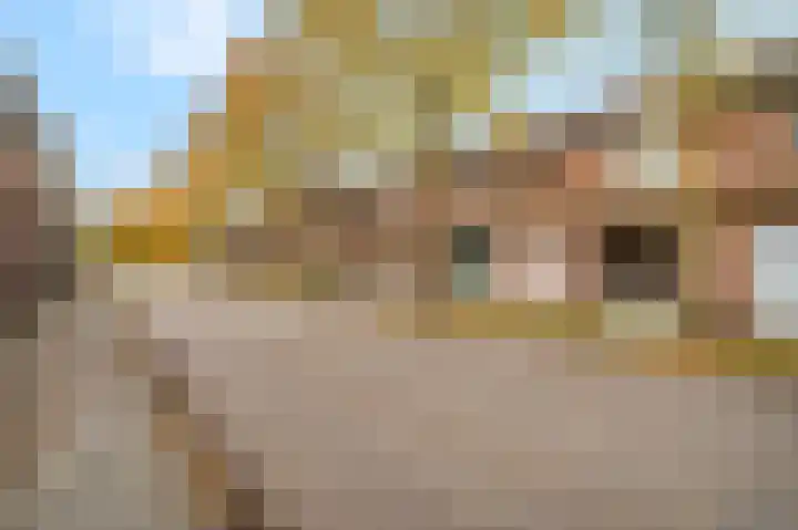 Nieuwe Brouwerstraat 11 Oss thumbnail 37