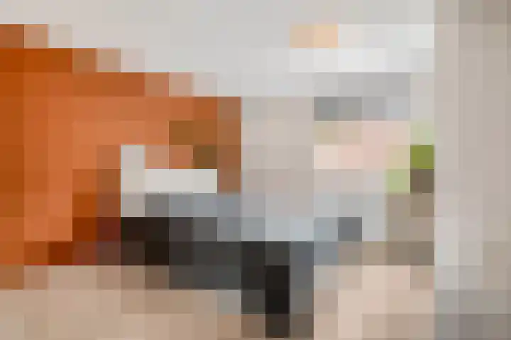 Nieuwe Brouwerstraat 11 Oss thumbnail 4