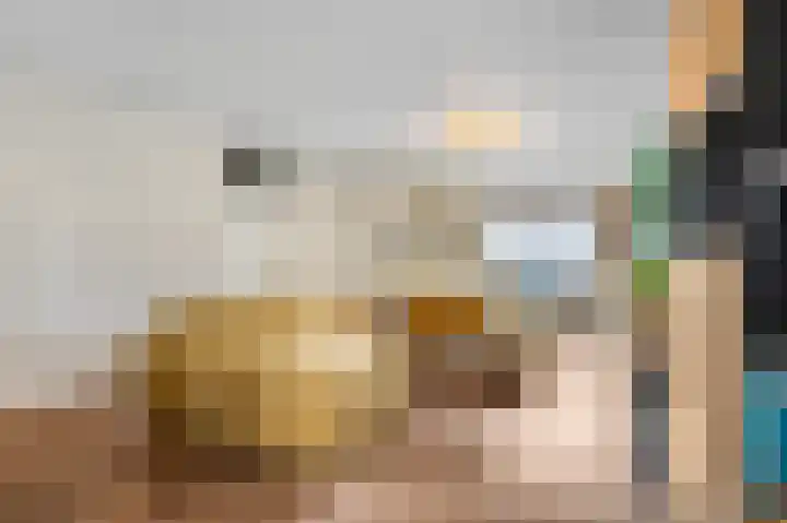 Nieuwe Brouwerstraat 11 Oss thumbnail 7