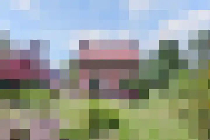 Nieuwe Kerkweg 1 in Wehl