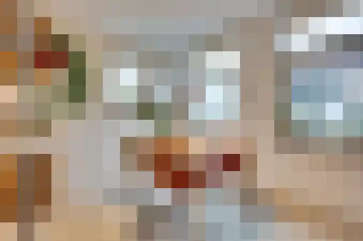 Nieuwe Langendijk 100 Delft thumbnail 16