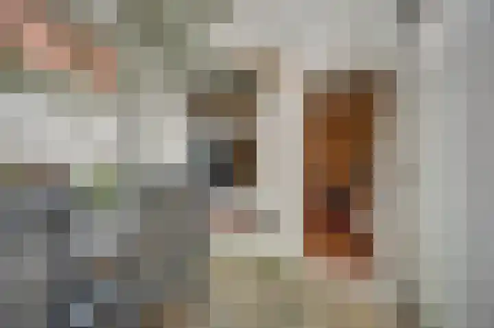 Nieuwe Langendijk 100 Delft thumbnail 4