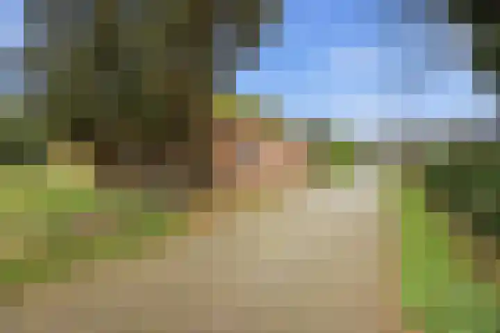 Nieuwe Stee 5 in Hoogerheide