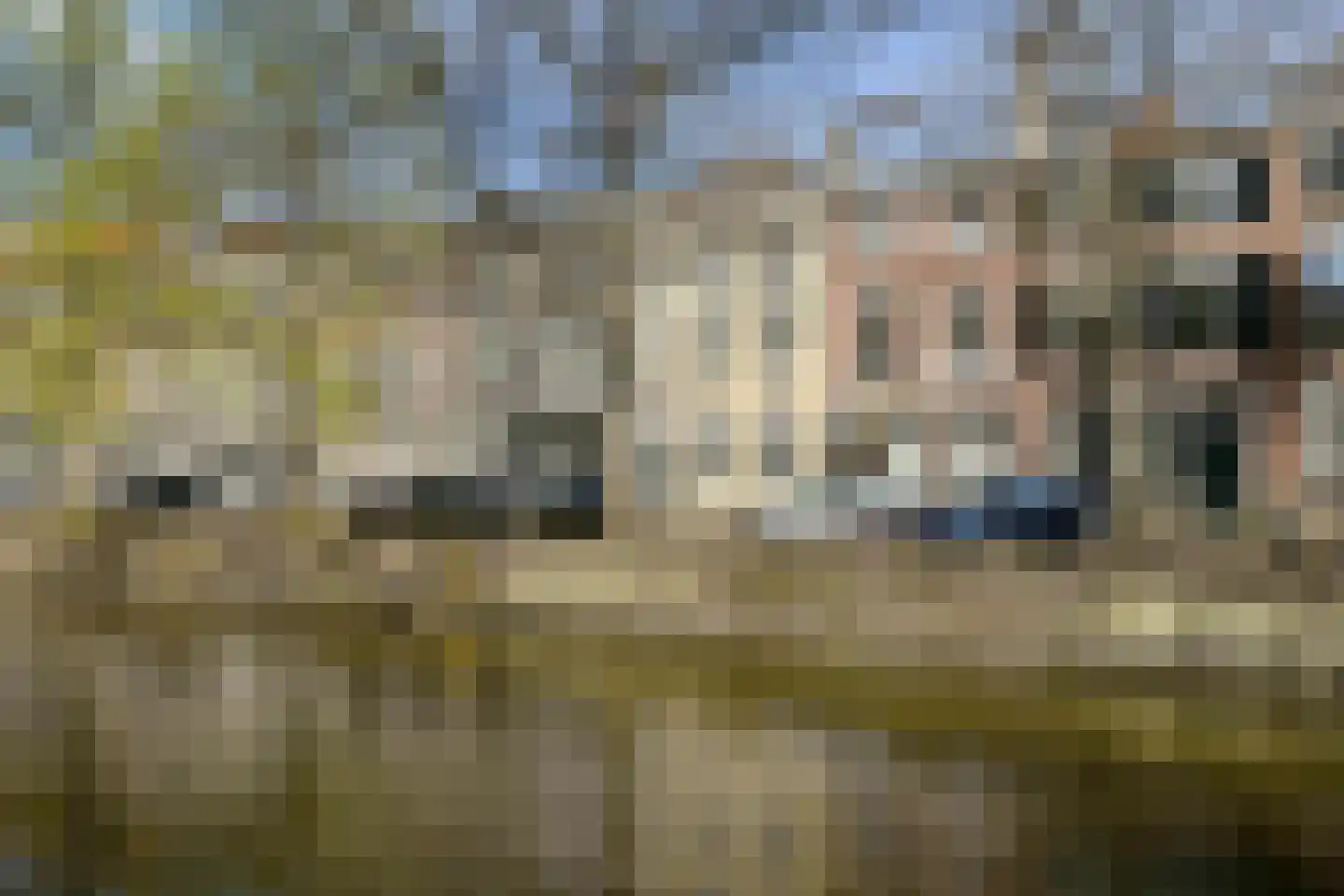 Nieuwe Uitleg 18 in Den Haag
