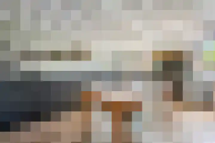 Nieuwe weg 25 Ingen thumbnail 11