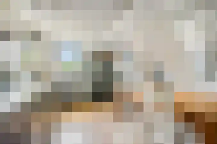 Nieuwe weg 25 Ingen thumbnail 12