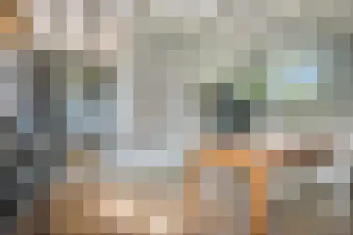 Nieuwe weg 25 Ingen thumbnail 13