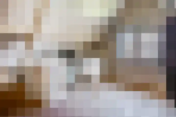 Nieuwe weg 25 Ingen thumbnail 15