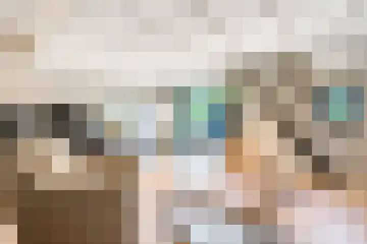 Nieuwe weg 25 Ingen thumbnail 22