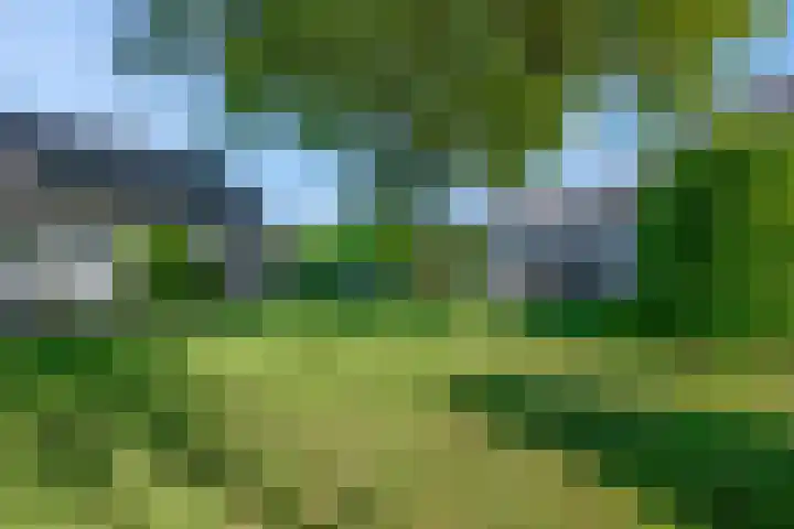 Nieuwe weg 25 Ingen thumbnail 27