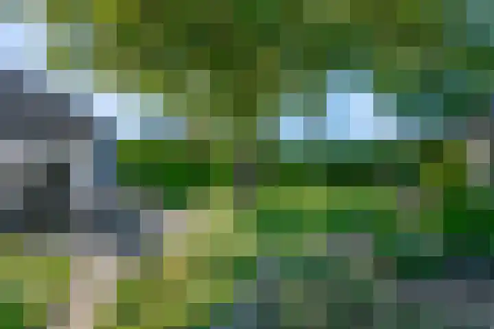 Nieuwe weg 25 Ingen thumbnail 30