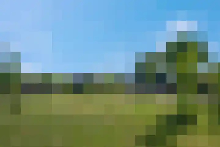Nieuwe weg 25 Ingen thumbnail 36