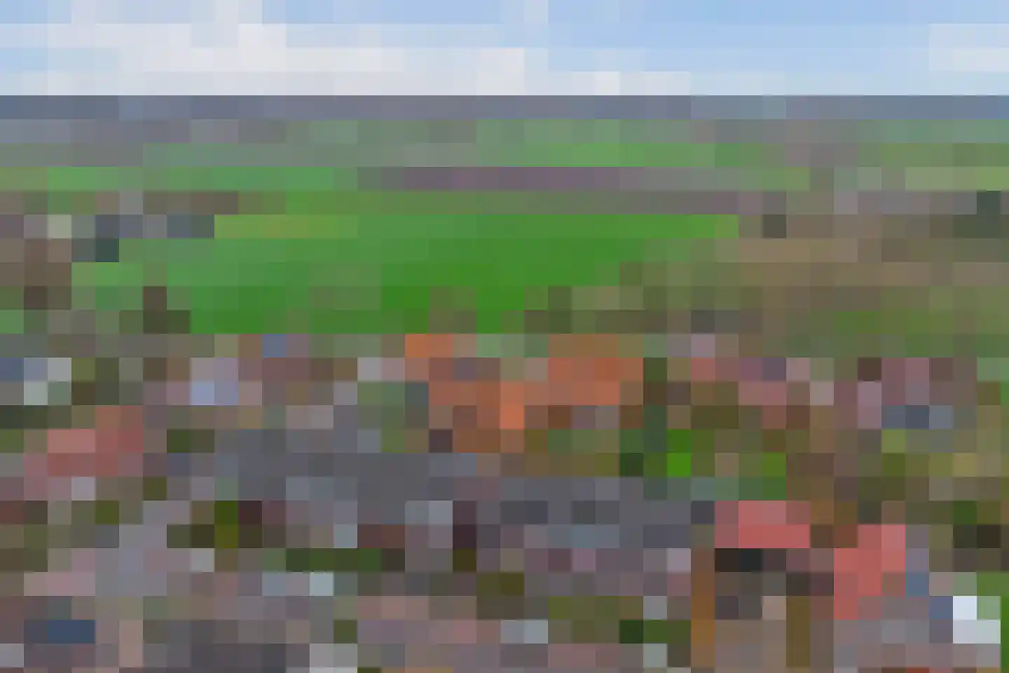 Nieuwe Wei 14 Gapinge thumbnail 29
