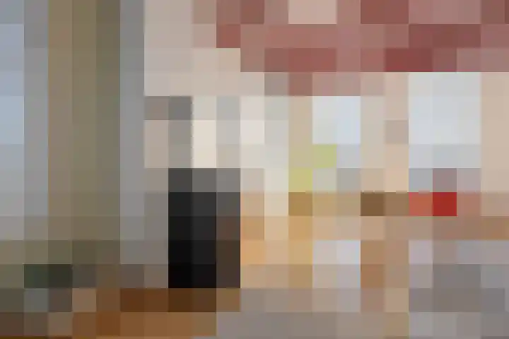Nieuwebildtdijk 300 St.-Annaparochie thumbnail 10