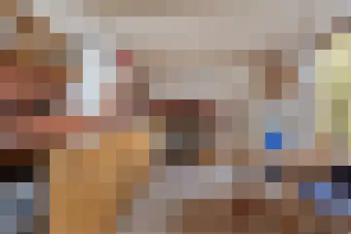 Nieuwebildtdijk 300 St.-Annaparochie thumbnail 23