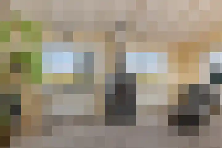 Nieuwebildtdijk 300 St.-Annaparochie thumbnail 26