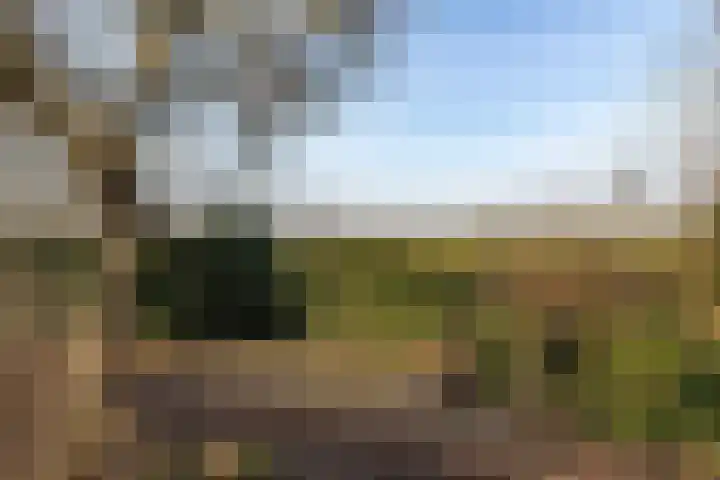 Nieuwebildtdijk 300 St.-Annaparochie thumbnail 32