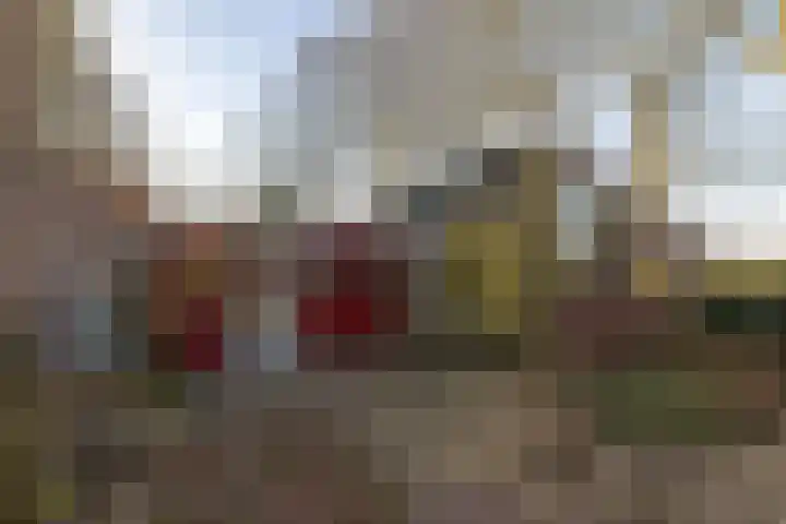 Nieuwebildtdijk 300 St.-Annaparochie thumbnail 41