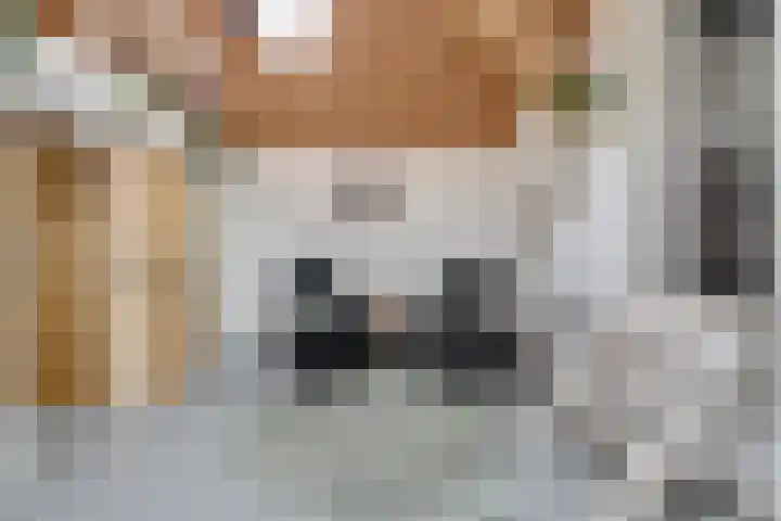 Nieuwebildtdijk 420 St.-Jacobiparochie thumbnail 11