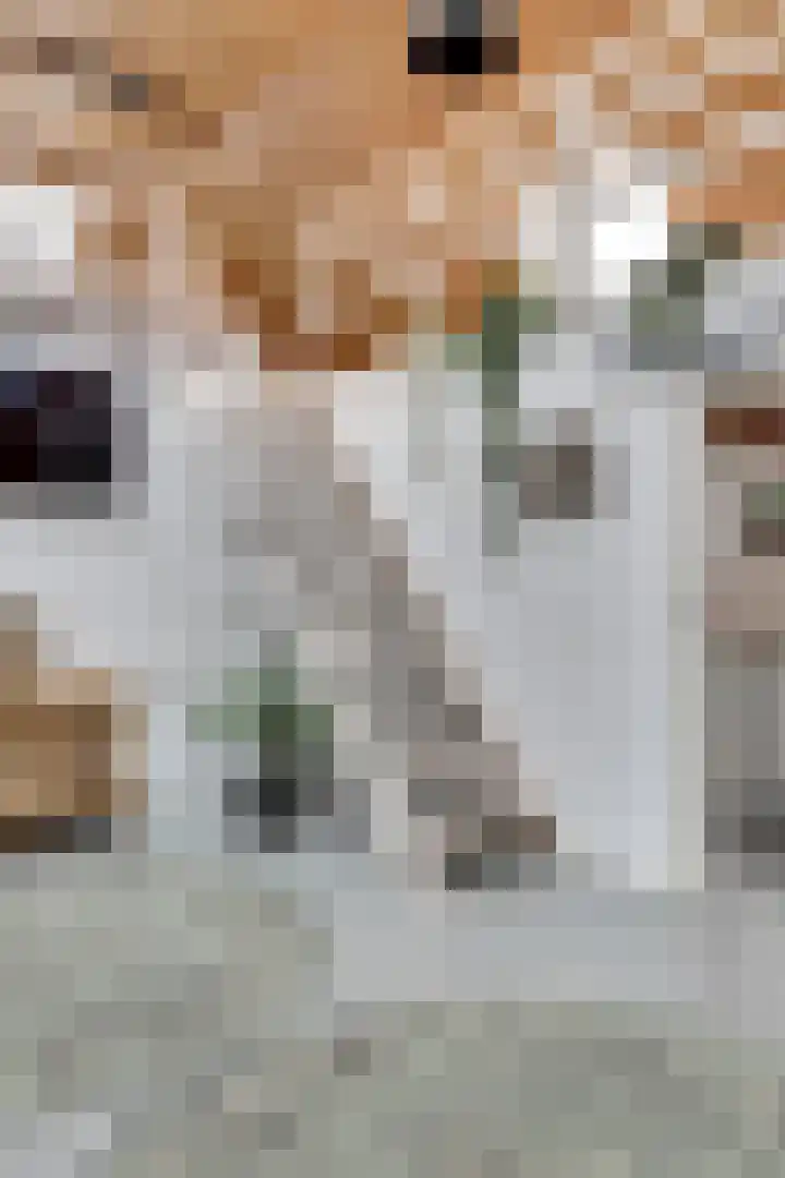 Nieuwebildtdijk 420 St.-Jacobiparochie thumbnail 12
