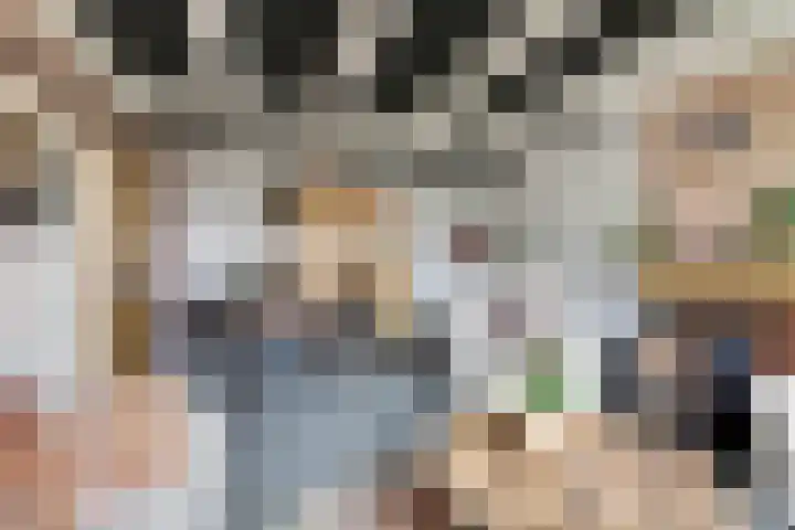 Nieuwebildtdijk 420 St.-Jacobiparochie thumbnail 15