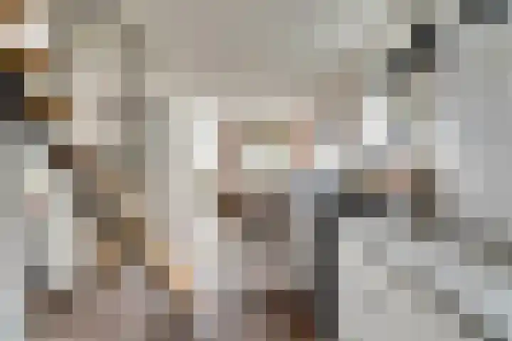 Nieuwebildtdijk 420 St.-Jacobiparochie thumbnail 22