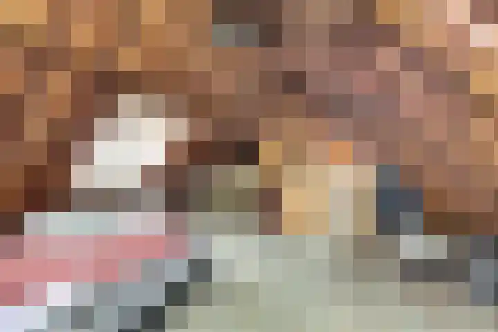 Nieuwebildtdijk 420 St.-Jacobiparochie thumbnail 27