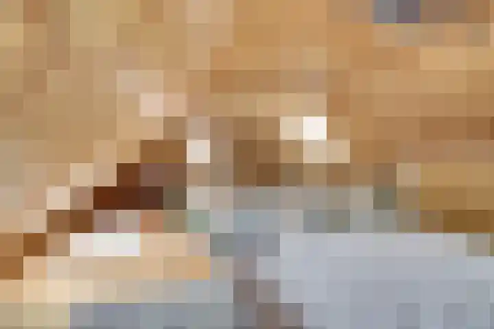 Nieuwebildtdijk 420 St.-Jacobiparochie thumbnail 28