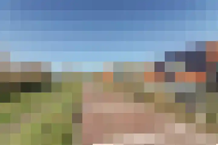 Nieuwebildtdijk 420 St.-Jacobiparochie thumbnail 32