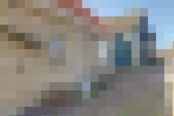 Nieuwebildtdijk 420 St.-Jacobiparochie thumbnail 37