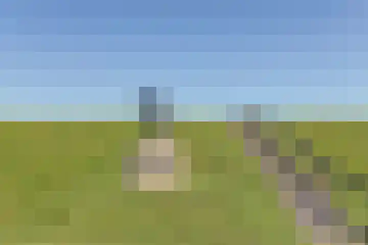 Nieuwebildtdijk 420 St.-Jacobiparochie thumbnail 41