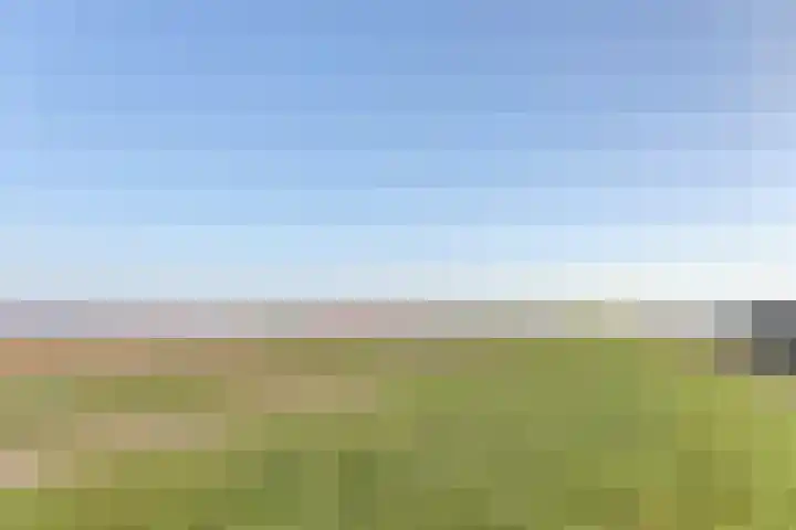 Nieuwebildtdijk 420 St.-Jacobiparochie thumbnail 43