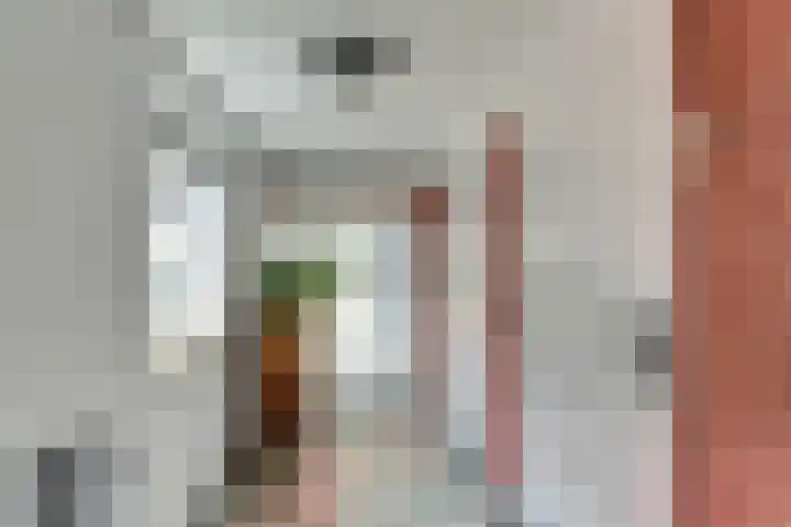 Nieuwebildtdijk 420 St.-Jacobiparochie thumbnail 5